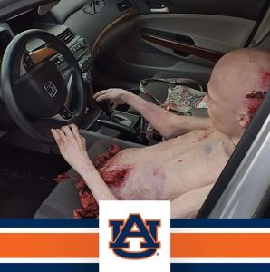 Meet your Posher, Cameron